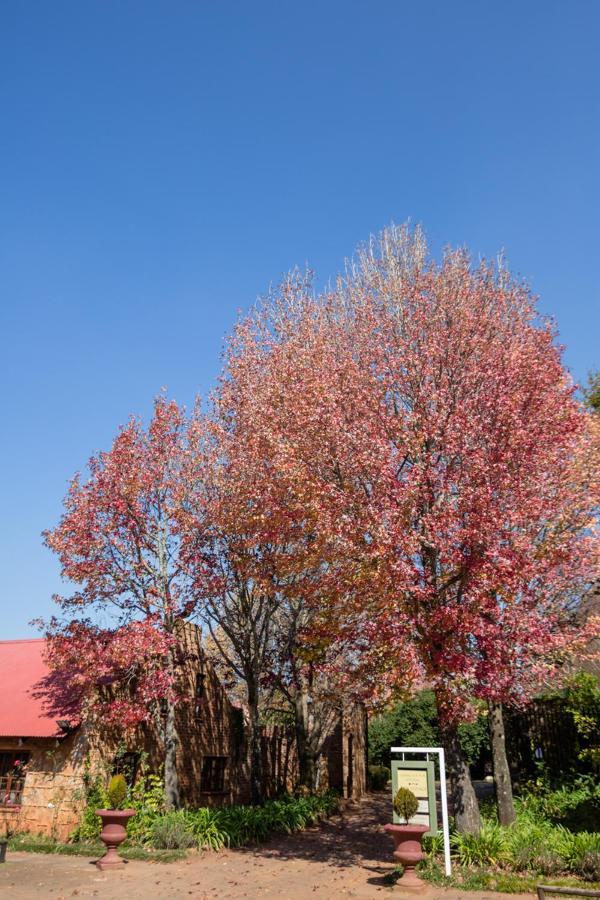 Critchley Hackle Hotel Dullstroom Exterior foto